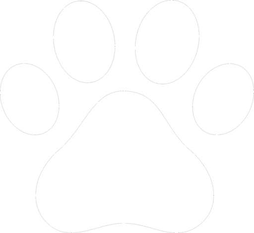 Three Paws Rescue - Gabby